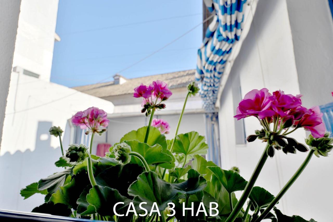Casas Caballerizas Mezquita 1 Y 3 Hab Kordoba Bagian luar foto
